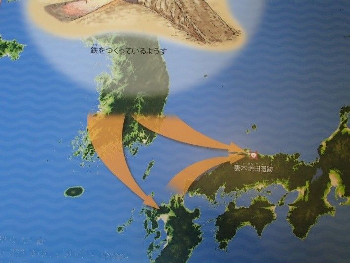 イメージ 5