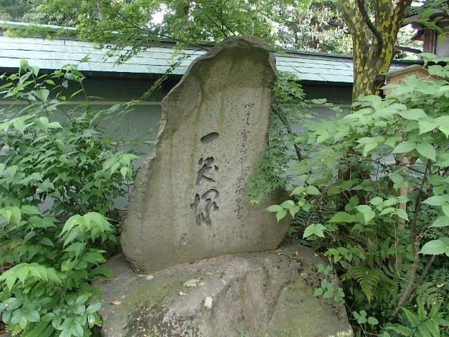 イメージ 5