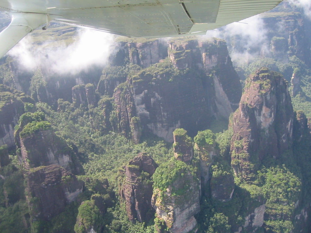 ギアナ高地 探険家 Yoshiiの探検 冒険の旅のブログ