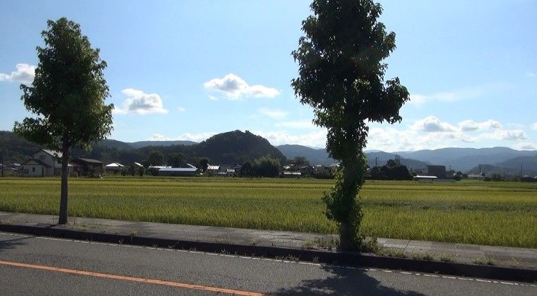 イメージ 6