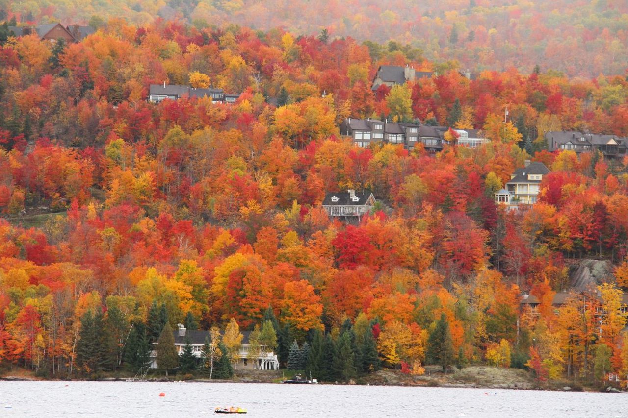 カナダ メープル街道 探険家 Yoshiiの探検 冒険の旅のブログ カナダ メープル街道 探険家 Yoshiiの探検 冒険の旅のブログ