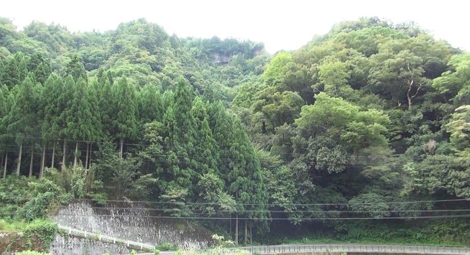イメージ 2