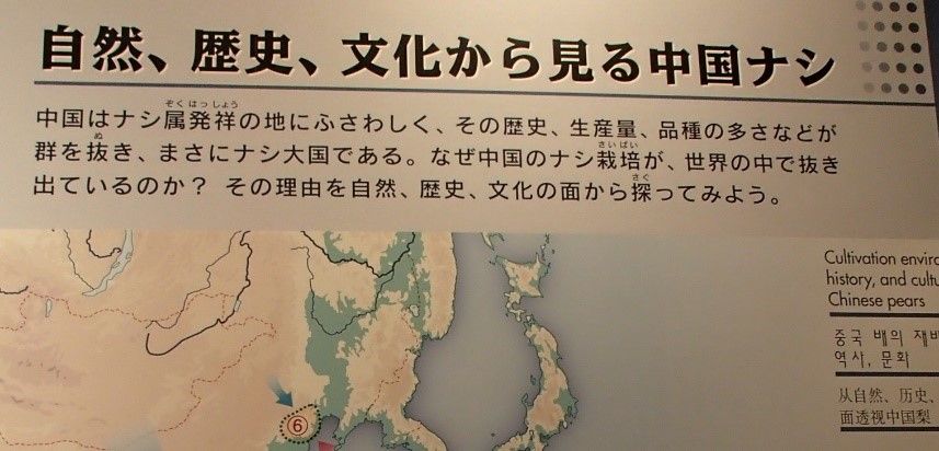 イメージ 9