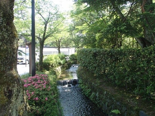 イメージ 6