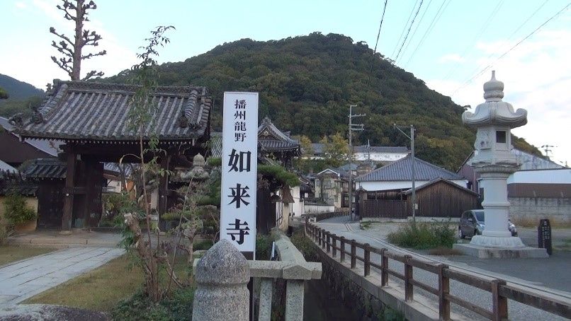 イメージ 7