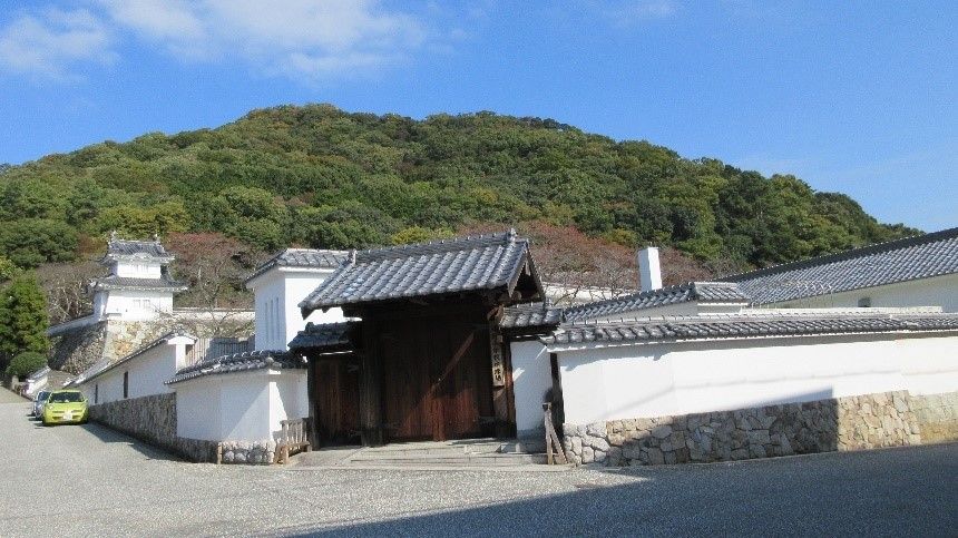イメージ 1