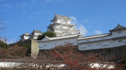 イメージ 7