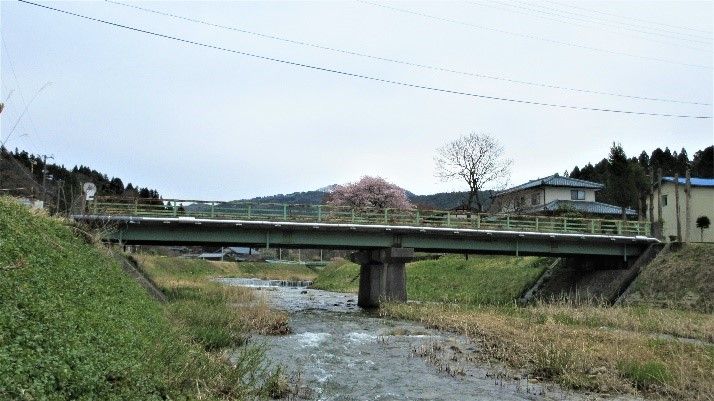 イメージ 8