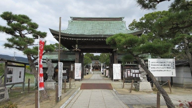 イメージ 7