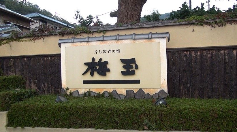 イメージ 5