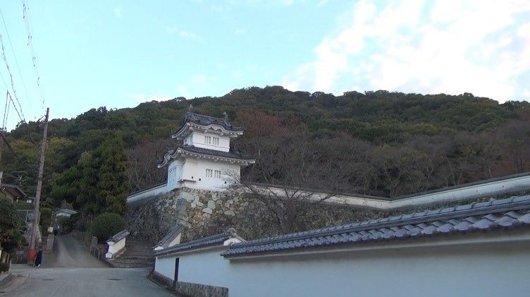 イメージ 7