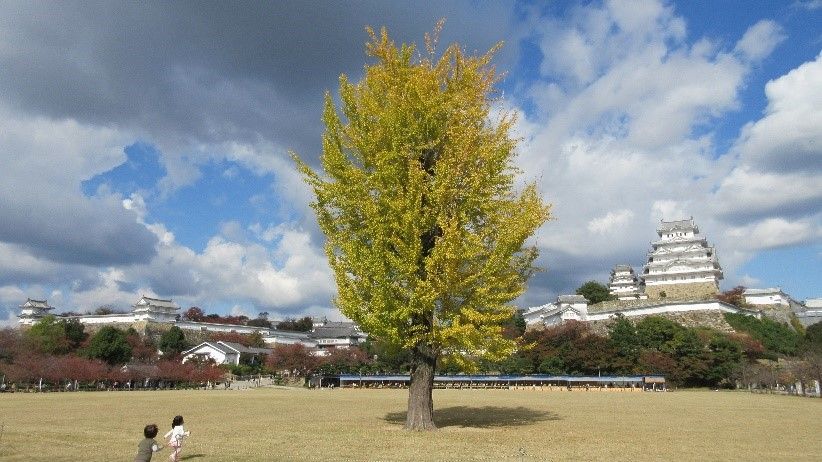 イメージ 4