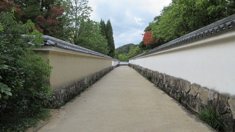 イメージ 8