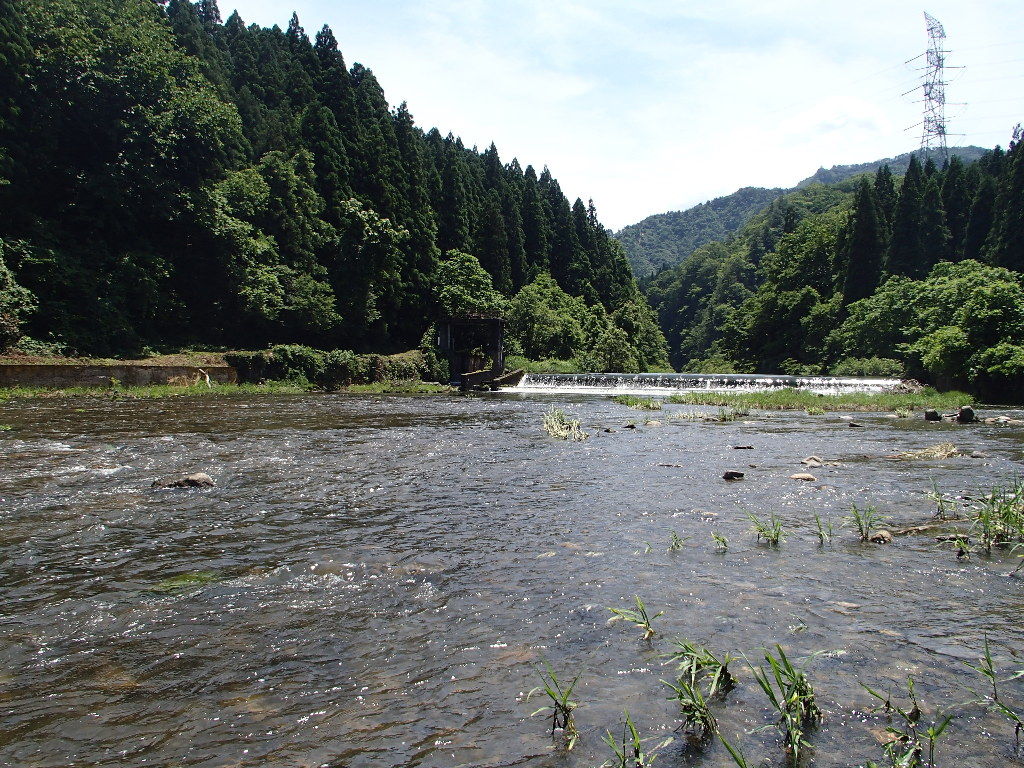また釣れた 今日は大漁 夢の中 釣り師ｼﾞｭﾝﾁｬﾝのブログ