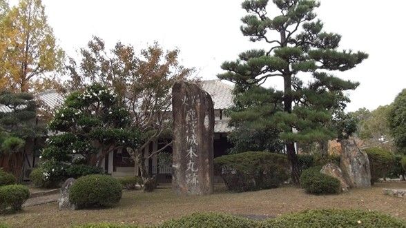 イメージ 7