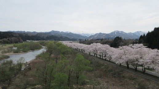 イメージ 7