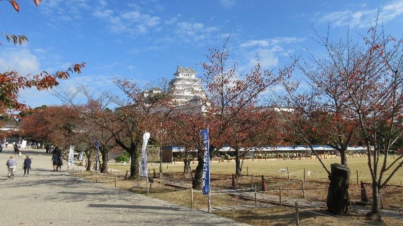イメージ 5