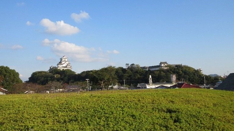 イメージ 6