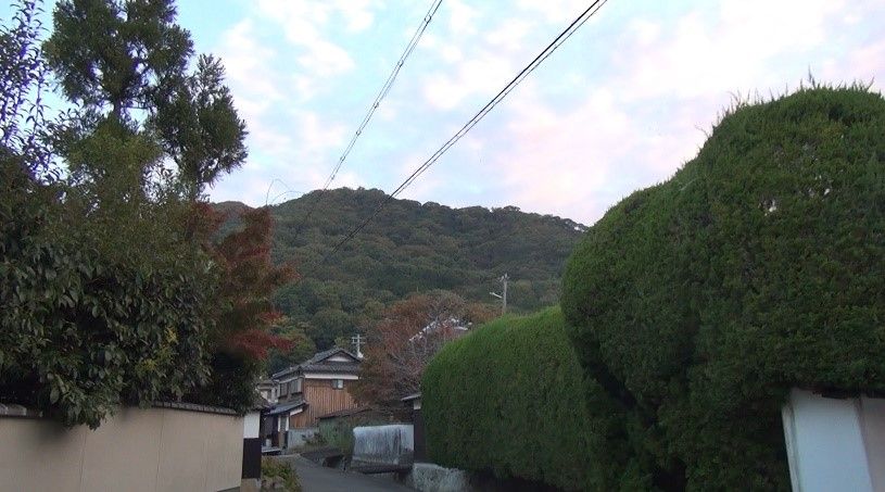 イメージ 6
