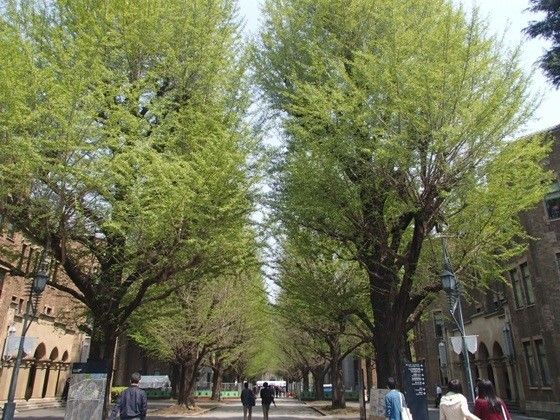 イメージ 5
