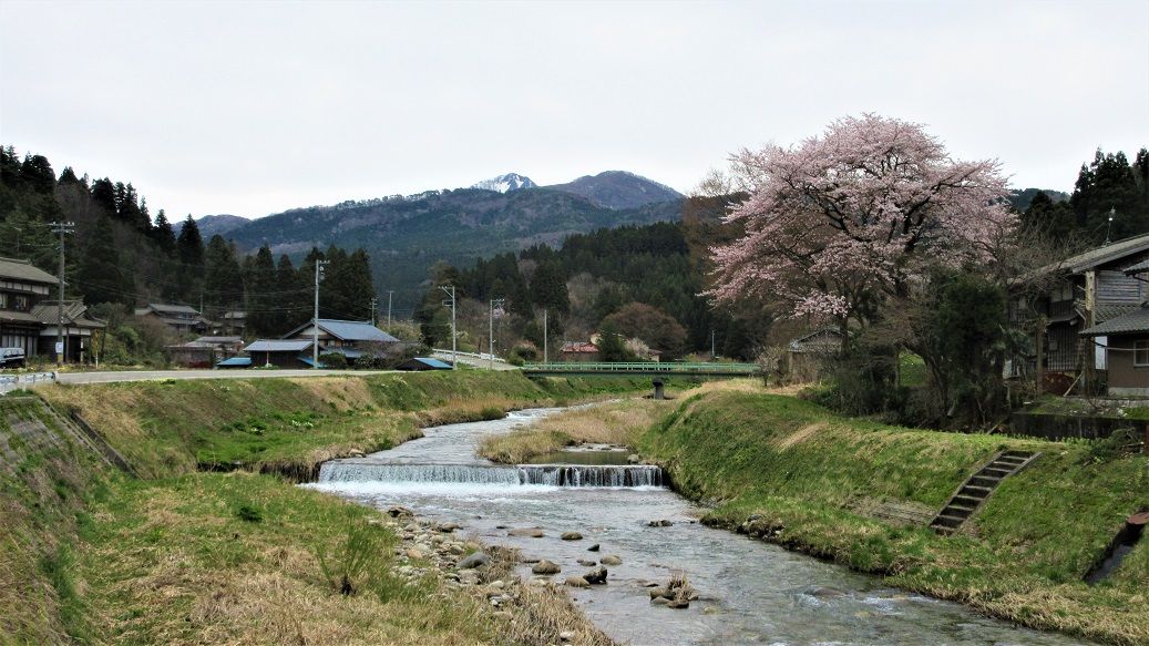 イメージ 9