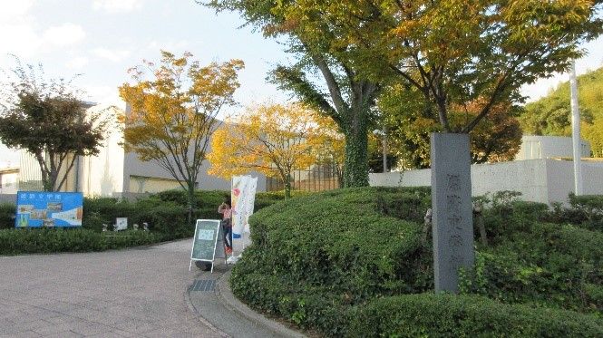 イメージ 3