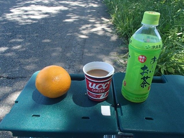 イメージ 10