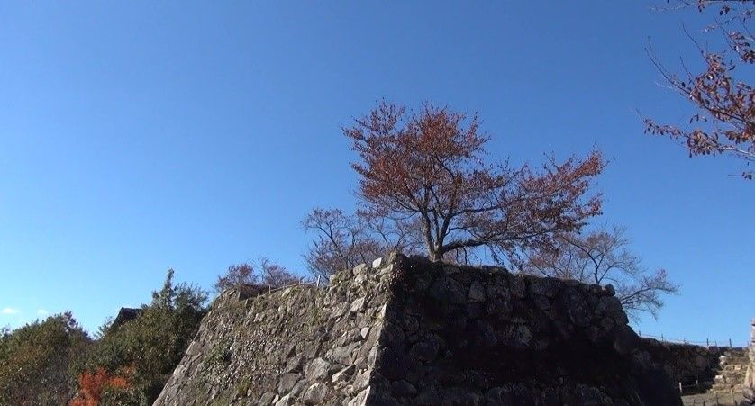 イメージ 6