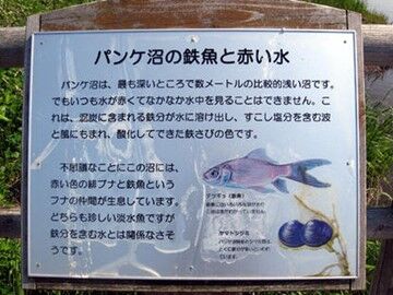 画像14