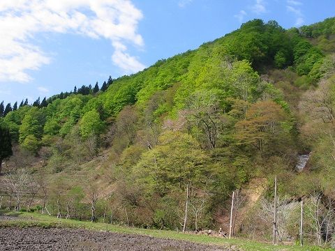 イメージ 1