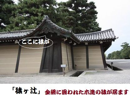 京都 伝説 鬼門の猿 14 2 28 発信基地 京都 Tyusonmoyuのblog