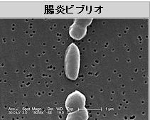 WS000019