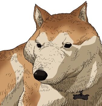 2chまとめ マムシに噛まれた犬 顔がヤバくなる 悲報 フェニックス速報 2ch 5ch Twitterまとめブログ