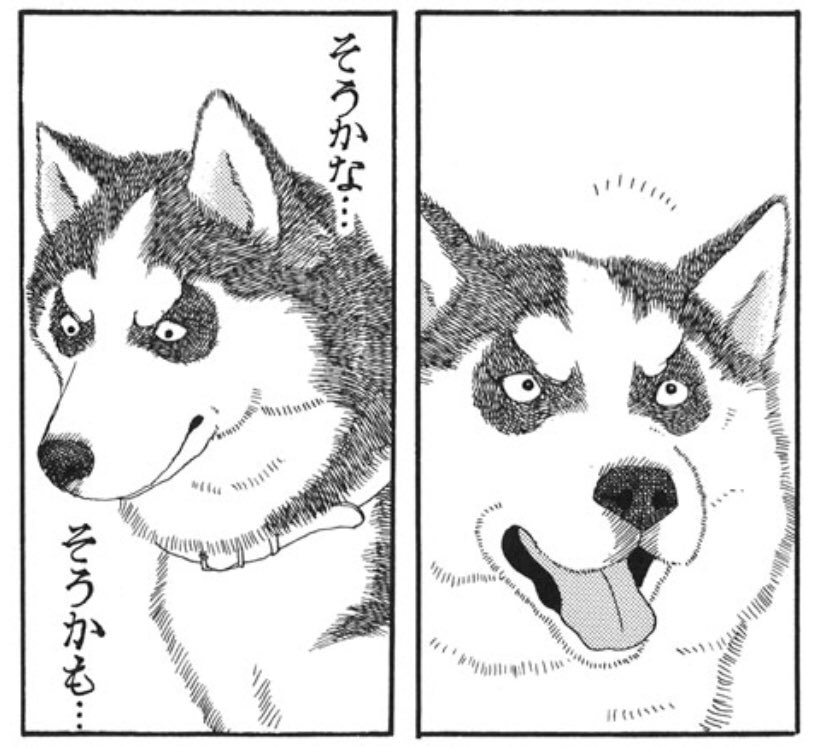 動画 ハスキー犬 とんでもなく馬鹿だったことが判明 2chまとめ フェニックス速報 2ch 5ch Twitterまとめブログ