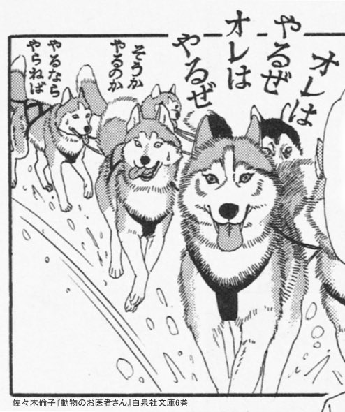 動画 ハスキー犬 とんでもなく馬鹿だったことが判明 2chまとめ フェニックス速報 2ch 5ch Twitterまとめブログ