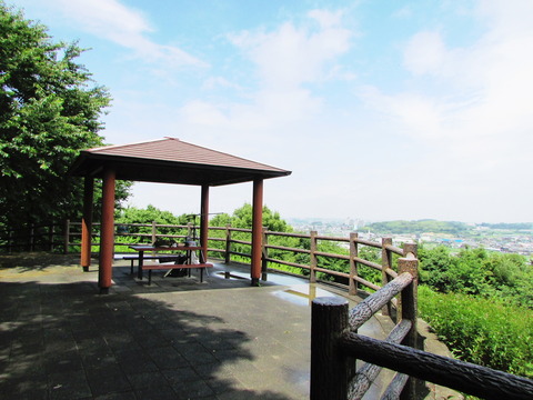 conv0011