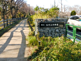 ¿ùʶ衢¶ÌÀî¾å¿åÀõ´Ö¶¶ suginami_tamagawajyousui_sengenbashi_a