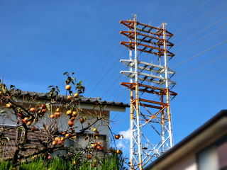 水野線5号 soudentettou_mzn5