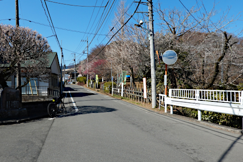 hachiouji_uratakao_kyuukousyuukaidou_komaginobashi