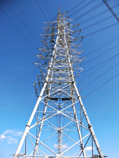 新座線2号 soudentettou_niz2