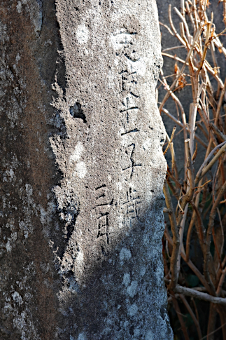 hachiouji_uratakao_kyuukousyuukaidou_nenjyuzaka_d1