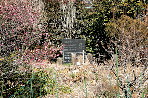 hachiouji_uratakao_inohanatunnel_c6