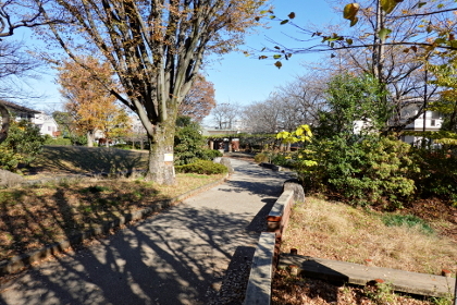 武蔵野市、関前公園 musashino_greenparkryokudou_sekimaekouen