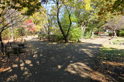 武蔵野市、グリーンパーク遊歩道 musashino_greenparkryokudou_b
