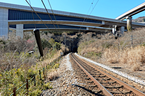 hachiouji_uratakao_inohanatunnel_d