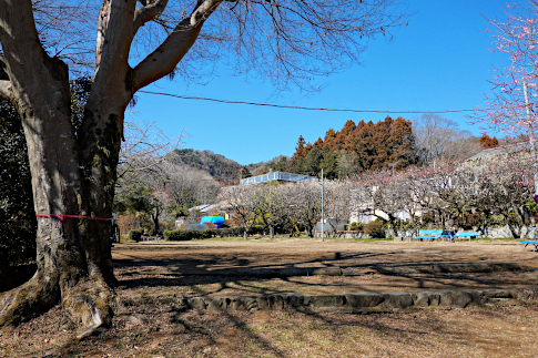 hachiouji_uratakao_kyuukousyuukaidou_kobotokeseki_f