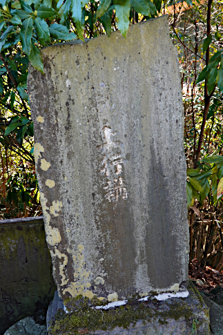 hachiouji_uratakao_kyuukousyuukaidou_jyougyoukou