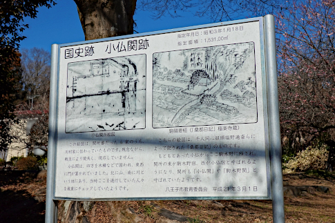 hachiouji_uratakao_kyuukousyuukaidou_kobotokeseki_d