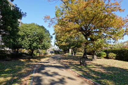武蔵野市、グリーンパーク遊歩道 musashino_greenparkryokudou_a
