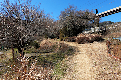 hachiouji_uratakao_inohanatunnel_c